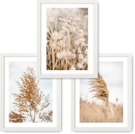 BOHO 3 obrázky 43x53 rámy NATURE GRASS IKEA #12