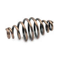 Seat Spring 5