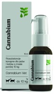 Cannabium Vet CBD konopný olej 1% do 10kg 15ml na stres pre psa a mačku