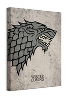 Obraz Game of Thrones Herb Stark 40x50 cm