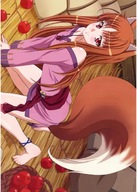 Plagát Anime Manga Spice and Wolf saw_053 A2