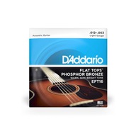 Struny D'Addario Flat Tops Light 12-53 EFT16