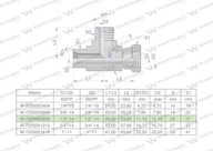 Asymetrické palcové hydraulické T-kus BBA 1/2" BSP (XEVL) Waryńsk