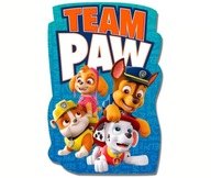 Plážová osuška PAW PATROL 80x120