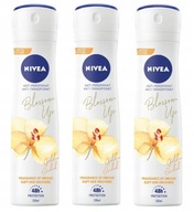 NIVEA Antiperspirant sprej Nivea 150ml ZLATÁ ORCHIDEJ