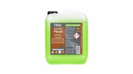 CLINEX Nano Protect Floral 5L