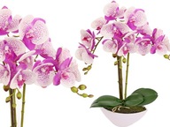 ORCHIDEA V ČRENÁRE AKO ŽIVÝ UMELÝ KVET, 3 výhonky