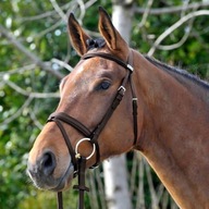 Stubben Bridle Waterford 1001 ebenový COB