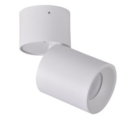 LED SPOTLIGHT JOINT 10W TRUBKA