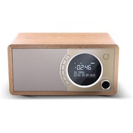 Digitálne rádio Sharp DR-450(BR), FM/DAB/DAB+, Bluetooth 4.2, funkcia budíka,