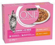 Purina ONE Junior mokré krmivo mix príchutí 8x85g