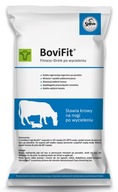 SANO BOVIFIT NÁPOJ PRE KRAVY PO OTELENÍ 1KG