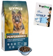 Divinus Performance 20 kg suché krmivo pre psov