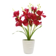 UMELÉ KVETY V ČRENÁRE Orchidea 40cm FARBY