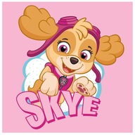 Lisovaný detský uterák 30x30 Paw Patrol Skye