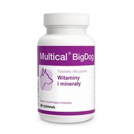 DOLFOS Multical BigDog vitamíny a minerály 90 tabliet