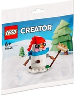 Creator Snowman 30645 blokov