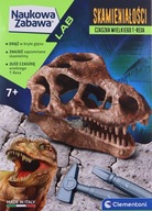 FOSSIL - T-REX SKULL