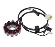 Stator Magneto 12 Coils Vespa Lx 125 150 09-1