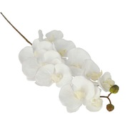 Orchidea biela vetvička 94cm umelá orchidea