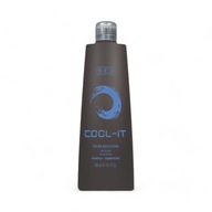 BES Color Reflection Cool It farbiaci šampón - 300ml