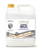 SARSIL BRUK PREMIUM Wet Cube Effect 5L