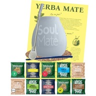 Yerba Soul Mate Set 500g Bombilla Tekvica 10x50g