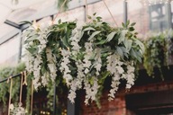 WISTERIA GARLAND 1,7M