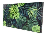 RÁMOVÝ OBRAZ PRÍRODA MONSTERA LIST 60x30cm PLÁTNO