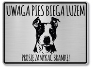 Znak pozornosti psa Amstaff