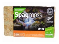 BESGROW MOSS SPAGMOSS sphagnum 100g lisovaný Nový Zéland