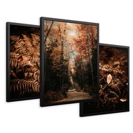 SET Zarámované obrazy boho plagáty jesenné lesné paprade triptych 43x99