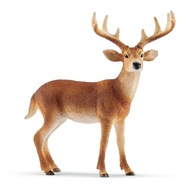 SCHLEICH Whitetail Mule Deer Samec 14818