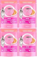 PURINA ONE JUNIOR Losos s mrkvou 4x 85g