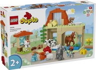 LEGO DUPLO (10416) (BLOKKY)