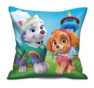 Vankúš Paw Patrol 2697 MODRÁ ZELENÁ 40x40cm