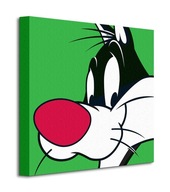 Obrázok kocúra Looney Tunes Sylvester na plátne 40x40 cm