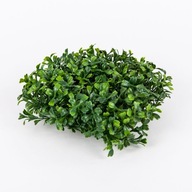 Veniec buxus buxus 23cm