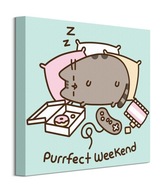 Obraz na plátne Pusheen Sleeps Perfect Weekend 40x40 cm