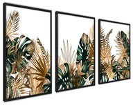 Monstera Gold Plagáty Obrazy BIG SET 50x70