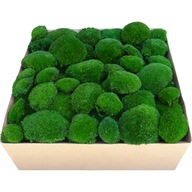 PREMIUM Cushion Moss Dark Green Cardboard 0,5 m2