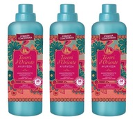 Tesori d'Oriente Ayurveda Rinse 3x760ml IT