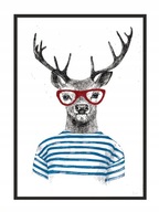 OBRAZOVÝ PLAGÁT V RÁME 53x73 cm Deer Hipster P846