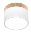 Prisadené bodové svietidlo LED TUBA 2273648 Candellux