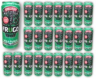 24 x FRUGO Wild Punch Energy MOJITO 330ml