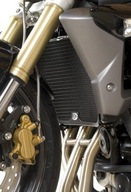 KRYT NA RADIÁTOR R&G TRIUMPHSTREET TRIPLE TITANIUM