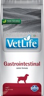 Farmina Vet Life Gastrointestinal 2 kg