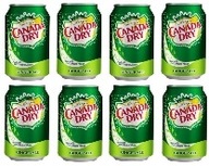 8x330ml CANADA DRY sýtená plechovka na nápoje UK