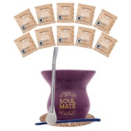 Yerba Soul Mate Set 500g Bombilla Tekvica 10x50g