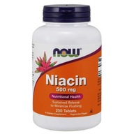 Niacín - Niacín /kyselina nikotínová/ 500 mg (250 tab